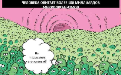 Количество бактерий в человеке