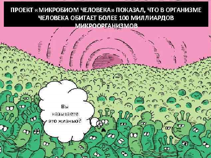Количество бактерий в человеке