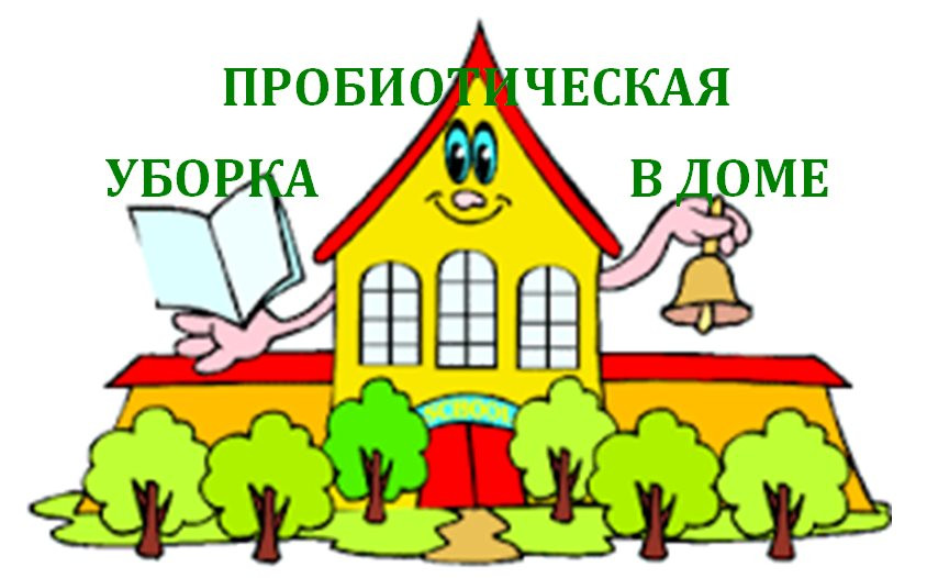 ИДЕАЛЬНАЯ ЧИСТОТА